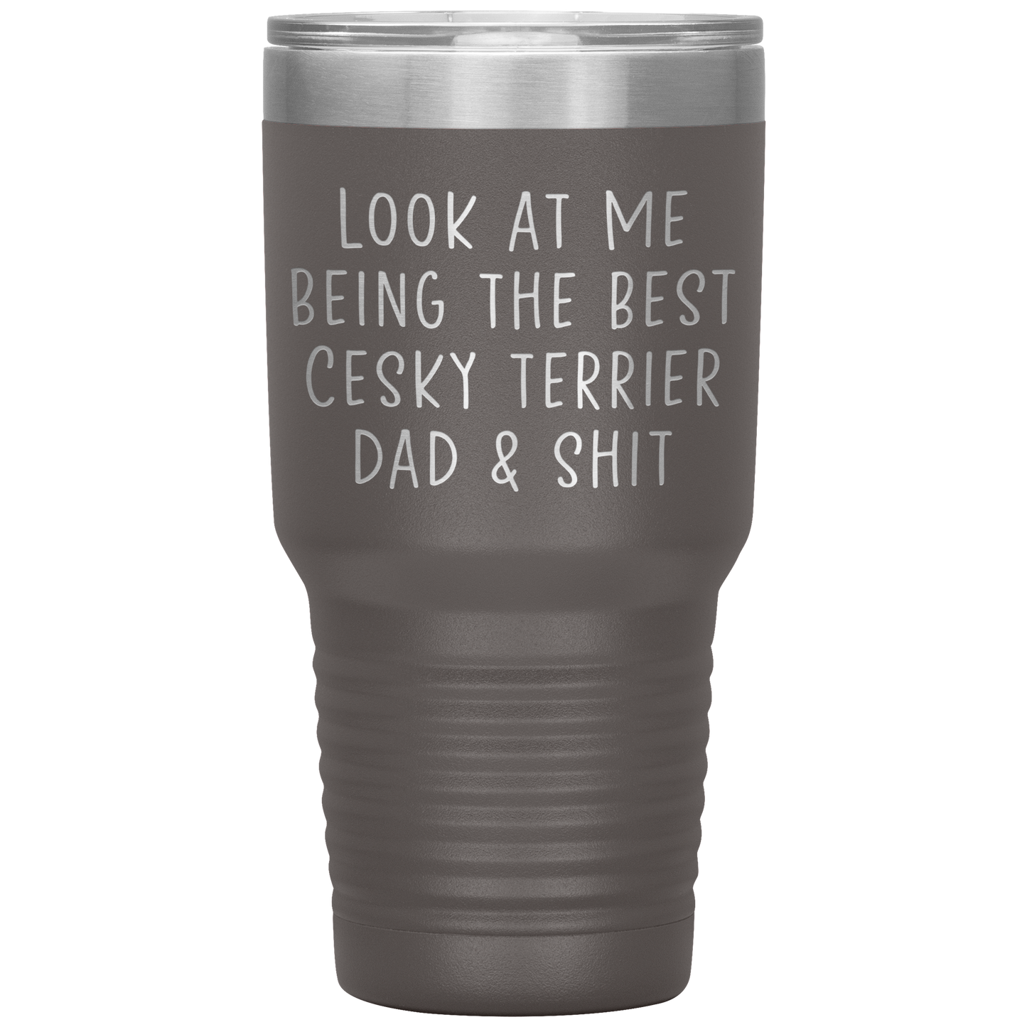 Cesky Terrier Dad Tumbler, Funny Travel Coffee Mug, Birthday Gifts for Men and Women