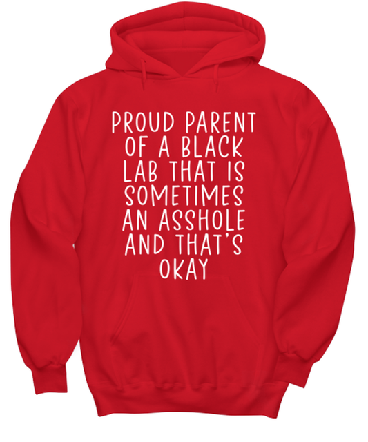 Black Lab Hoodie Shirt Hooded Sweatshirt