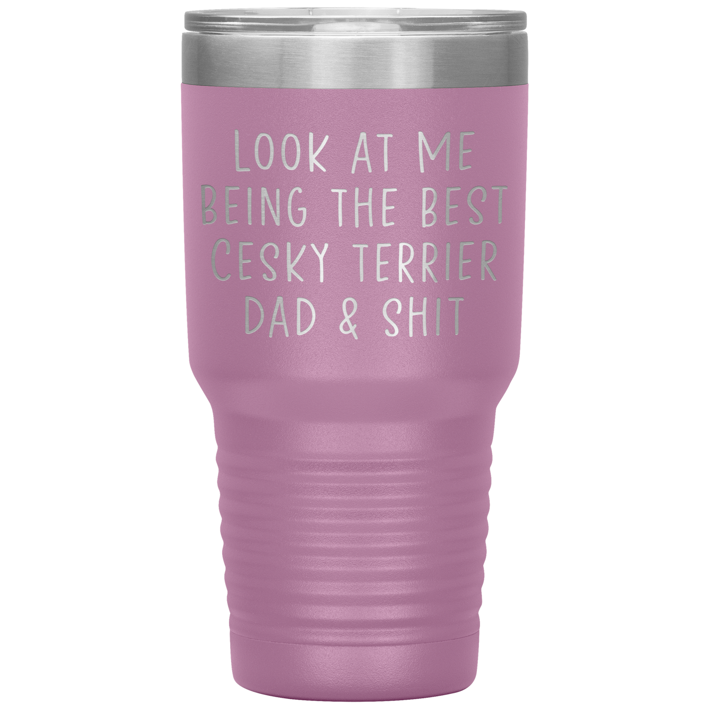 Cesky Terrier Dad Tumbler, Funny Travel Coffee Mug, Birthday Gifts for Men and Women