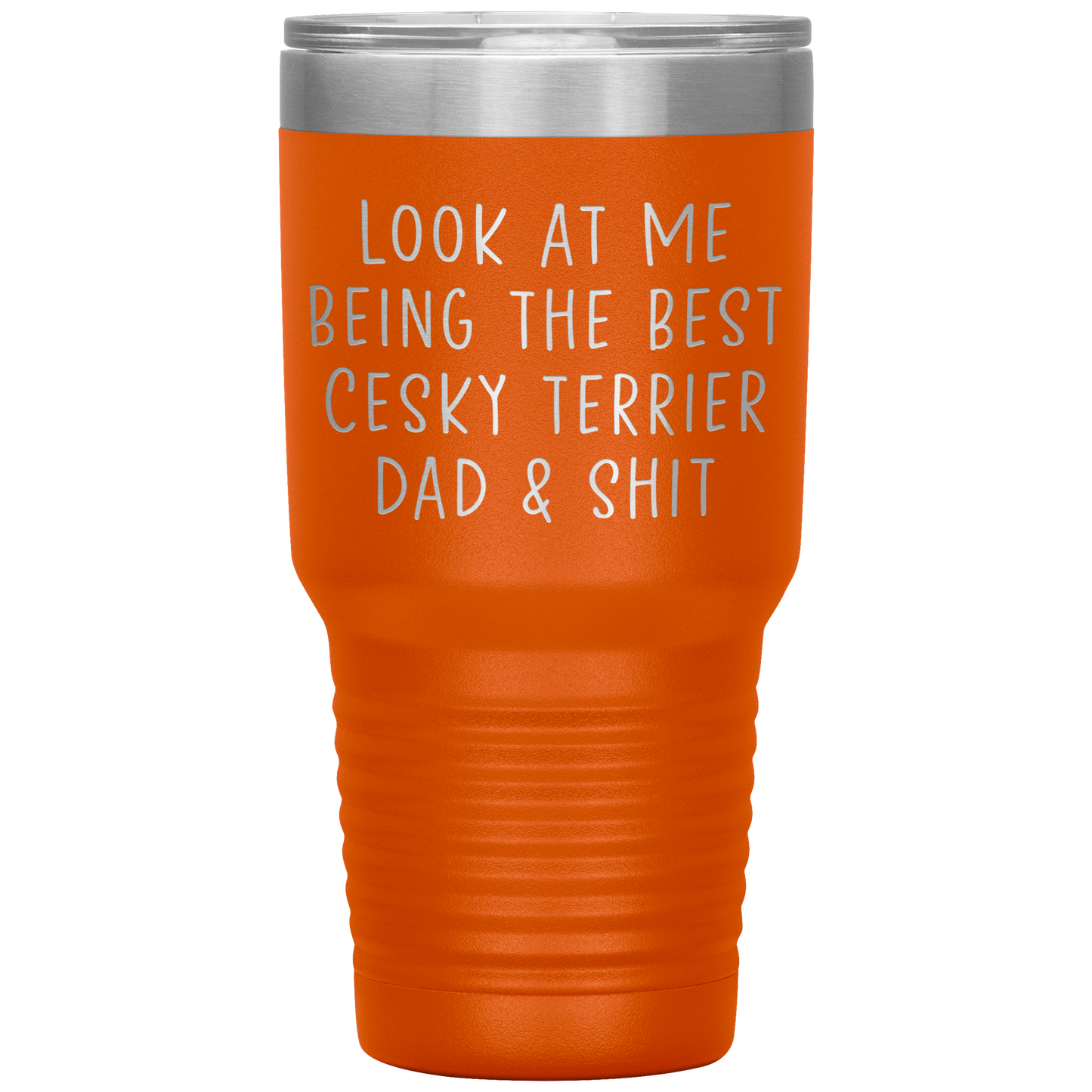 Cesky Terrier Dad Tumbler, Funny Travel Coffee Mug, Birthday Gifts for Men and Women